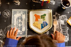 Хартиени салфетки Хари Потър – Билет от Лондон до Хогуортс, 33x40 см, бежови (1 пкт. / 20 бр.)